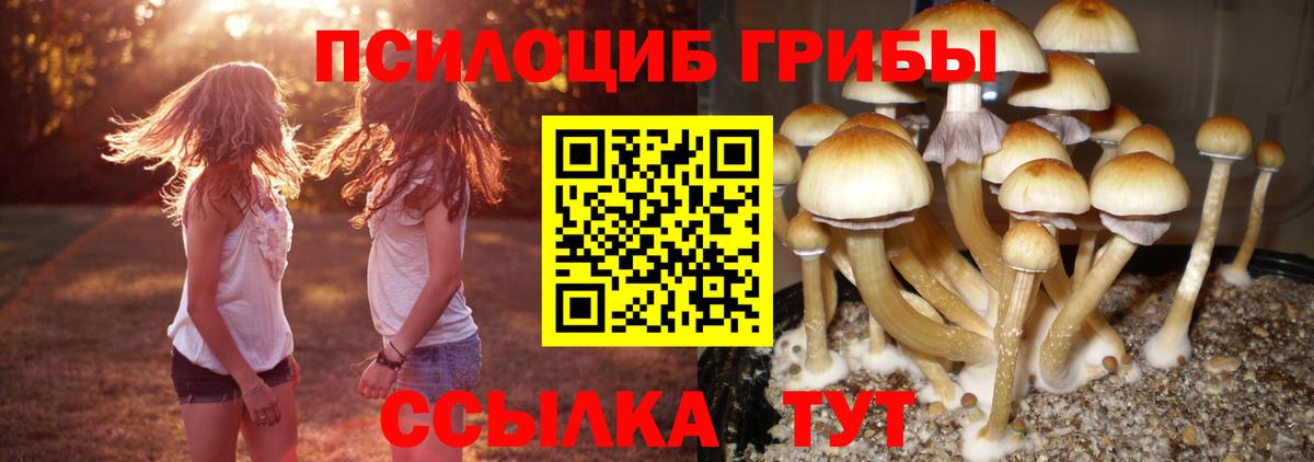 Псилоцибиновые грибы MAGIC MUSHROOMS Павловский Посад