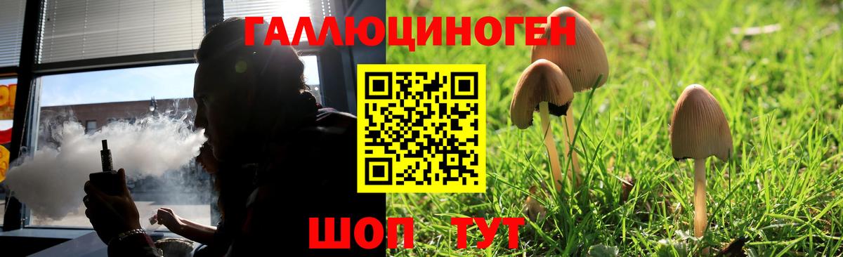 Павловский Посад  наркотики  Вход с VPN  Галлюциногенные грибы GOLDEN TEACHER 
